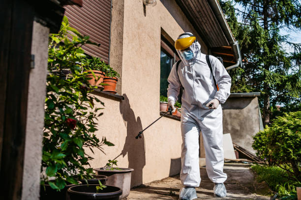 Best Pest Control for Homes  in Snyder, TX