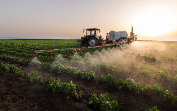 Best Insect Control  in Snyder, TX