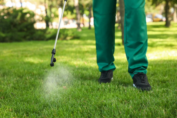 Best Best Pest Control Companies  in Snyder, TX