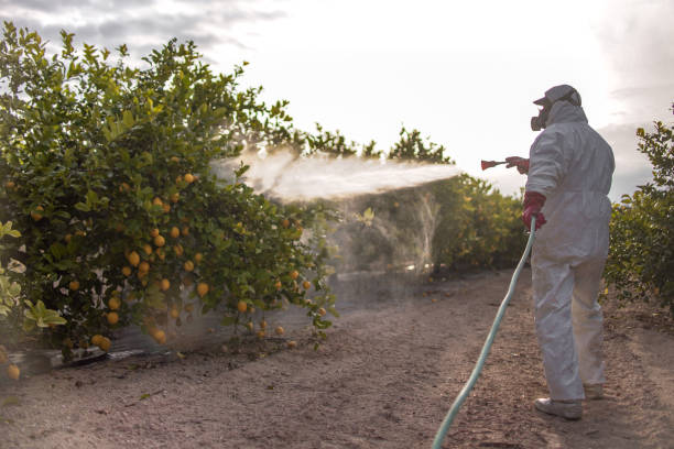 Best Mosquito Control Services  in Snyder, TX